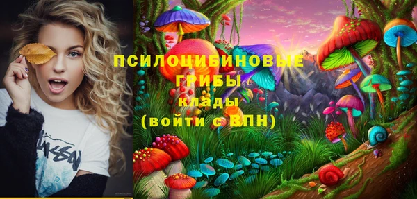 трава Верхнеуральск