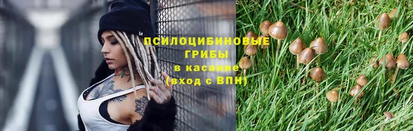трава Верхнеуральск