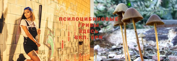 стаф Верхний Тагил