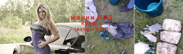 стаф Верхний Тагил
