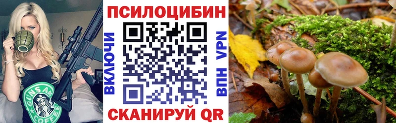 Галлюциногенные грибы MAGIC MUSHROOMS  продажа наркотиков  Мончегорск 